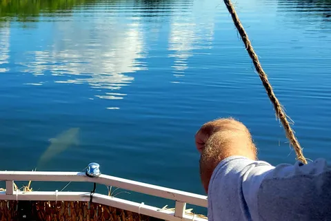 Passeio privativo de 2 horas com observação de golfinhos - Melbourne