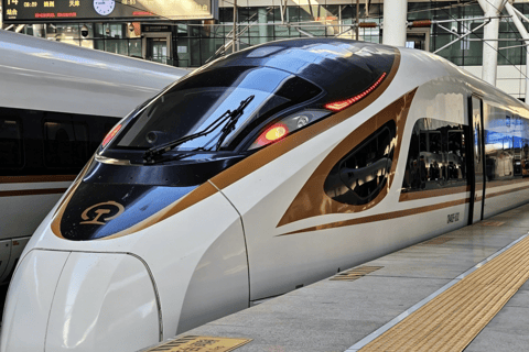 Hangzhou: Small-Group Day Trip from Shanghai by Bullet Train