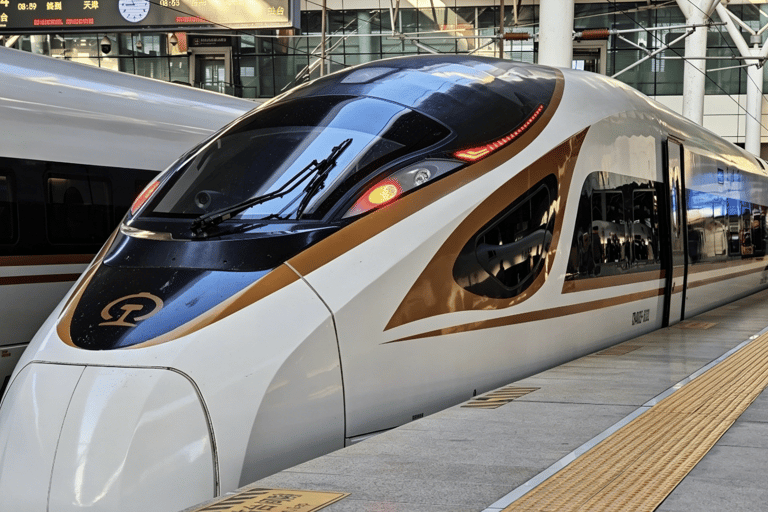 Hangzhou: Small-Group Day Trip from Shanghai by Bullet Train