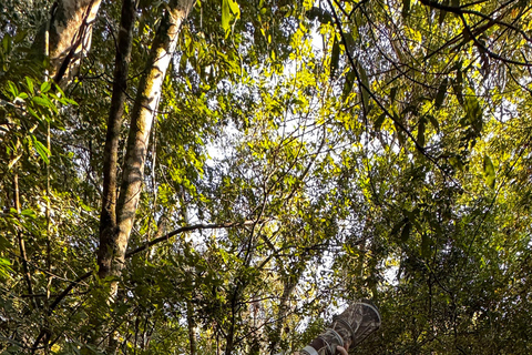 Birdwatching Tour At Poço Preto Trail