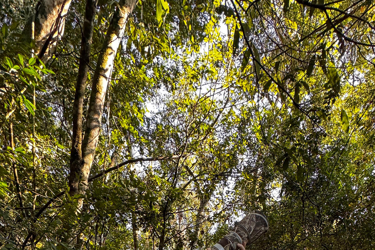 Birdwatching Tour At Poço Preto Trail