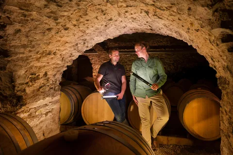 Visit : Château du Moulin-à-Vent, where time is an ally