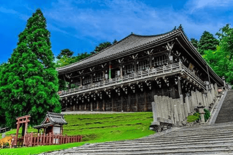 Nara: Private Full-Day Tour with Licensed Guide