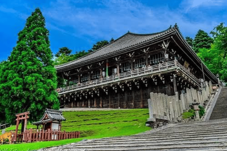 Nara: Private Full-Day Tour with Licensed Guide