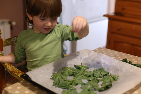 Wild experience: discover, cook &amp; eat the local wild flora