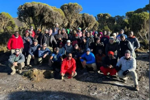 Tanzania: 7-Day Lemosho Route Kilimanjaro Climbing