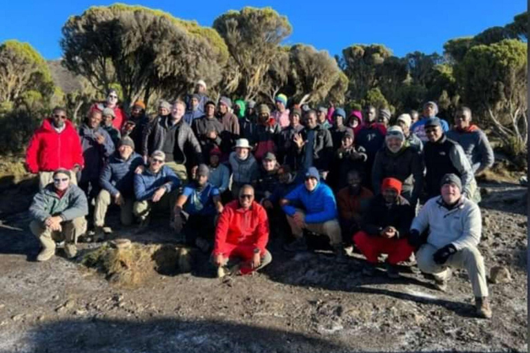 Tanzania: 7-Day Lemosho Route Kilimanjaro Climbing