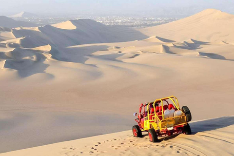 Från Paracas | Utflykt till Ica och Huacachina