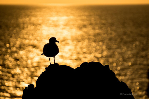 San Cristobal: Highlands, Beach, and Snorkeling Tour