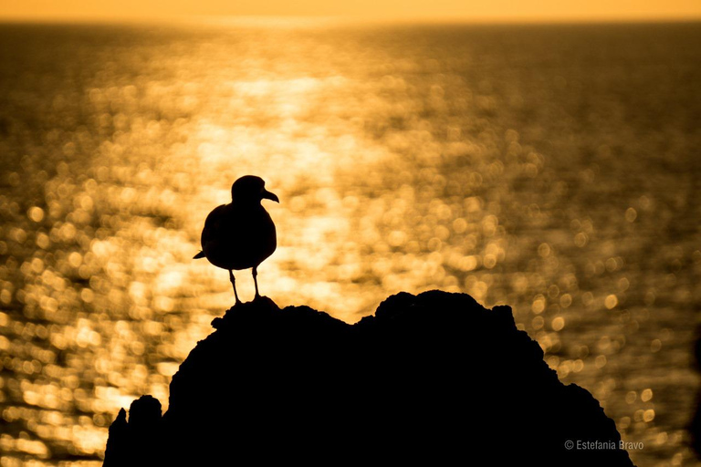 San Cristobal: Highlands, Beach, and Snorkeling Tour