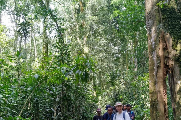 Day tour to Kakamega Rainforest from Kisumu