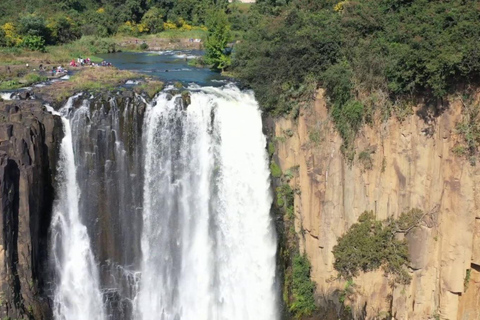 Parco safari Phezulu e luogo della cattura di Mandela Tour di mezza giornata