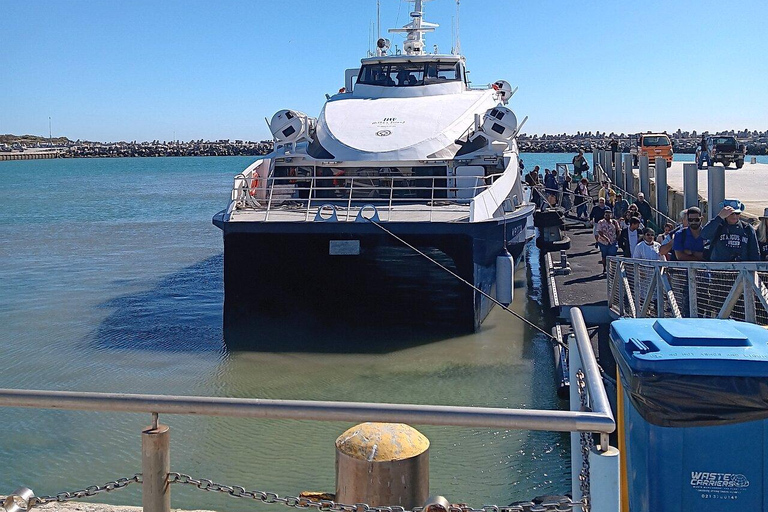 From Cape Town: Robben Island & Table Mountain Full-Day Tour