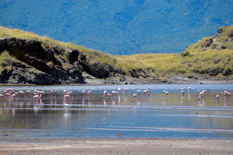 Arusha: Lake Natron Day Trip (Lake Walk &amp; Waterfall Hike)