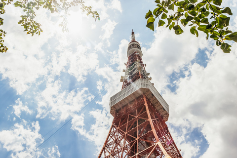 Tokyo: Hop-On Hop-Off Sightseeing bussbiljettBussbiljett för sightseeing i Tokyo samma dag (12 h)