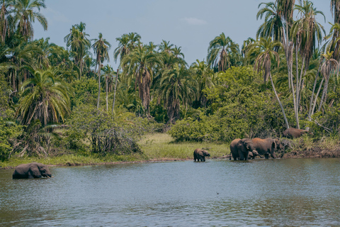 Kigali: Akagera National Park Safari with Boat Cruise