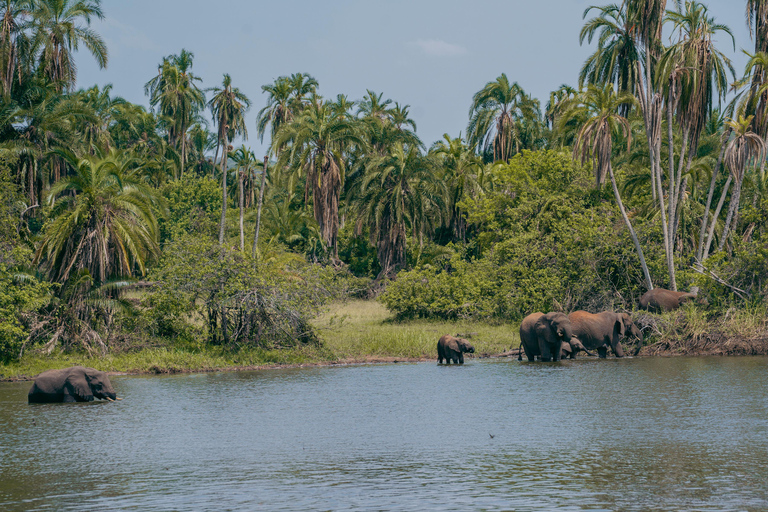 Kigali: Akagera National Park Safari with Boat Cruise