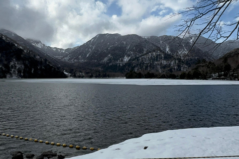 Nikko: Private Day Trip Nikko Private Day Trip with Hotel pickup/drop off