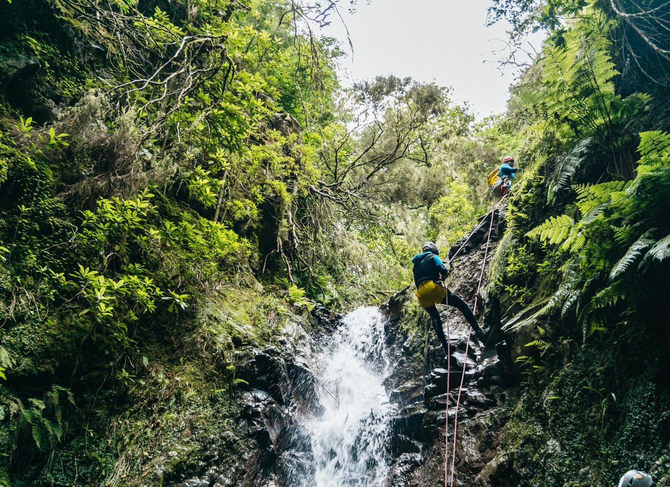 Funchal: Halvdags begyndervenlig canyoning-oplevelse