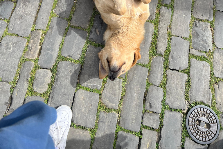 Gjirokaster & Blue Eye: Day Tour from Vlore