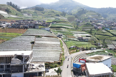 YOGYAKARTA: SILANCUR HIGHLAND/NEPAL VAN JAVA/BOROBUDUR