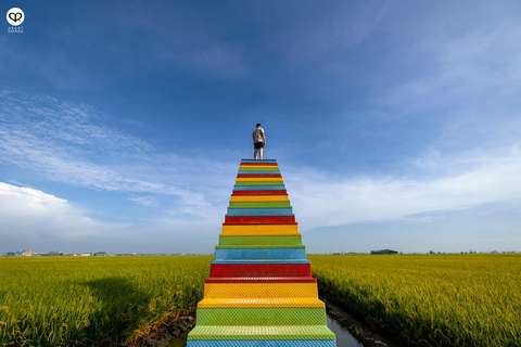 Kuala Selangor: Sky Mirror Island & Rice Field Tour