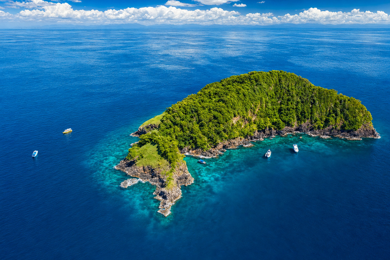 Khao Lak: Similan and Surin Daytrip 2 dives + Hotel Transfer Friday Option — Richelieu Rock