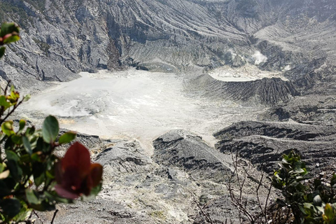 Bandung Volcano Full Day Trip with Stony Bubble Crater