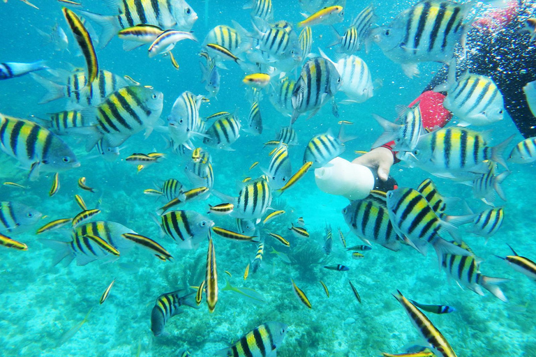 Isla Catalina All Inclusive Snorkel and Beach Day Punta Cana