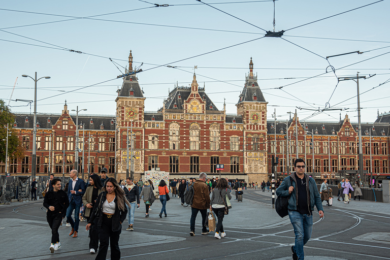 Amsterdam: Highlights Discovery tour