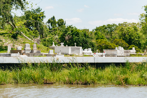 Nova Orleans: Passeio de barco pelo pântano e Bayou com transporte