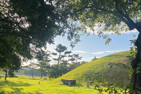 Private Gyeongju UNESCO Tour with Ryan - Starts in Gyeongju From Gyeongju: Private UNESCO Highlights with a Local Guide