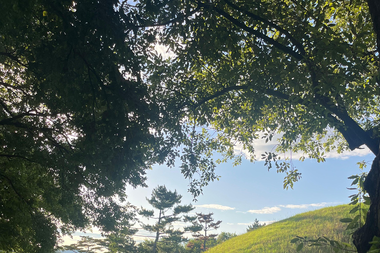 Private Gyeongju UNESCO Tour with Ryan - Starts in Gyeongju From Gyeongju: Private UNESCO Highlights with a Local Guide