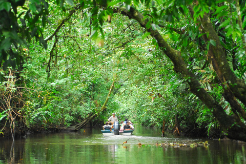 Tortuguero : Trois jours et deux nuits tout compris à TortugueroTortuguero : Deux nuits Prise en charge à SJ - Aller-retour 3 jours