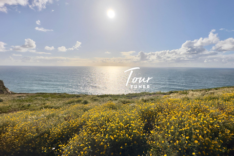 Lisbon: Sintra, Pena, Regaleira, Cabo da Roca & Cascais Private Tour – Personalized Comfort in an Exclusive Settings