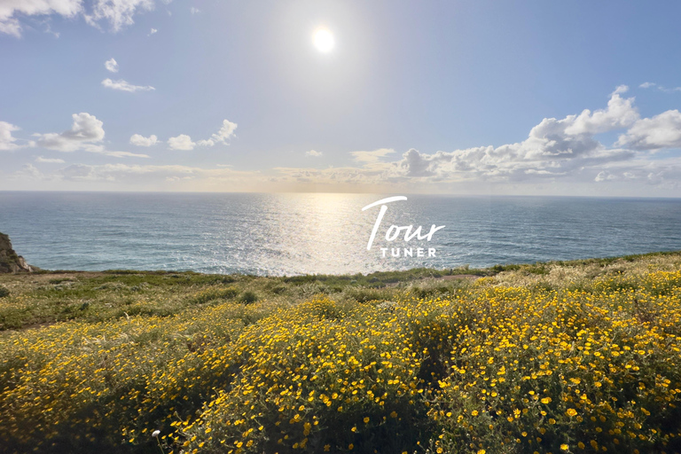 Lisbon: Sintra, Pena, Regaleira, Cabo da Roca & Cascais Private Tour – Personalized Comfort in an Exclusive Settings