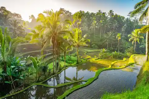 Ubud: Templo Saraswati, Floresta dos Macacos, Mercado de Arte, Cascata