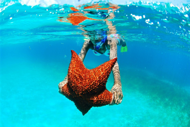 Punta Cana: Select Cruise Ship to Saona Island, DR with Lunch and Natural Pool From Anywhere in Santo Domingo