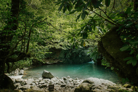 4D Batumi Essence Tour with guide 4D Batumi Essence Tour without guide