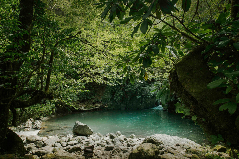 4D Batumi Essence Tour with guide 4D Batumi Essence Tour without guide