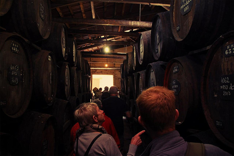 Funchal : Visite guidée du vignoble H.M. Borges avec dégustation de vinDiamant - 6 dégustations