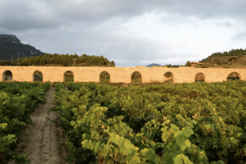 La Rioja: Matarromera Private tour down the hills