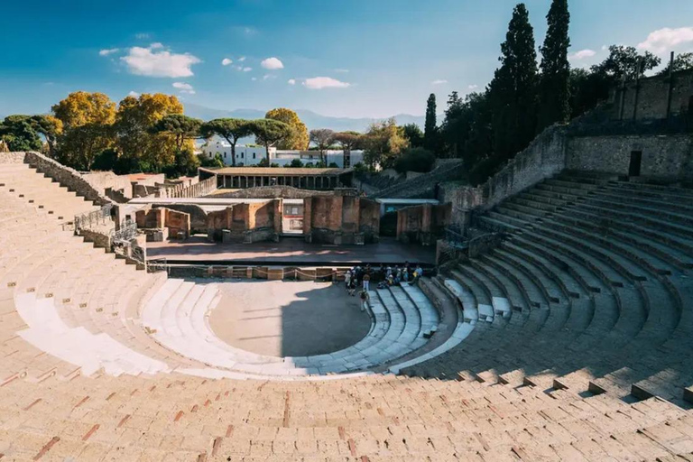 Pompei: Biglietto di ingresso prioritario + audioguida