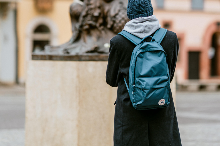 Buongiorno Varsavia: tour completo a piedi