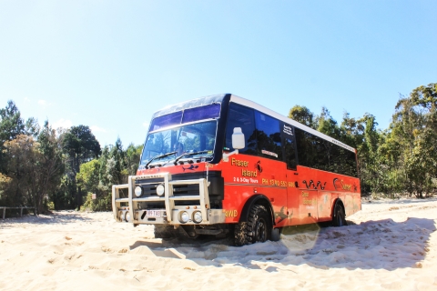 Île de Moreton : aventure aux épaves, dunes et kayakGare routière de Brisbane, à 7:00