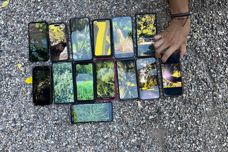 Wilde Schöhnheit - Ein Fotospaziergang durch die grünen Oasen in Weimar