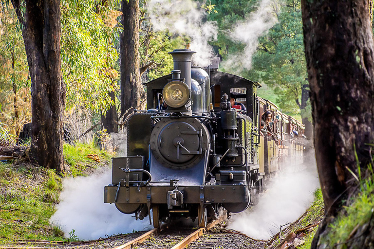 Melbourne Puffing Billy &amp; Penguins Day Tour