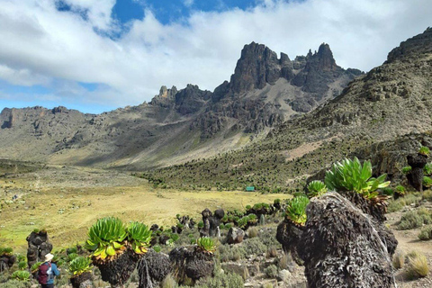 4 Days Mt Kenya Climbing &amp; Hiking Expeditions: Sirimon Route