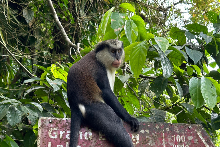 Grenada: Annandale waterval, Grand Etang, Grand Anse strand