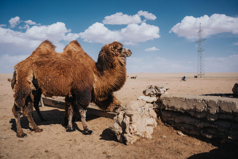 From Ulaanbaatar: 2-Day Karakorum, Mini Gobi & Hustai Tour